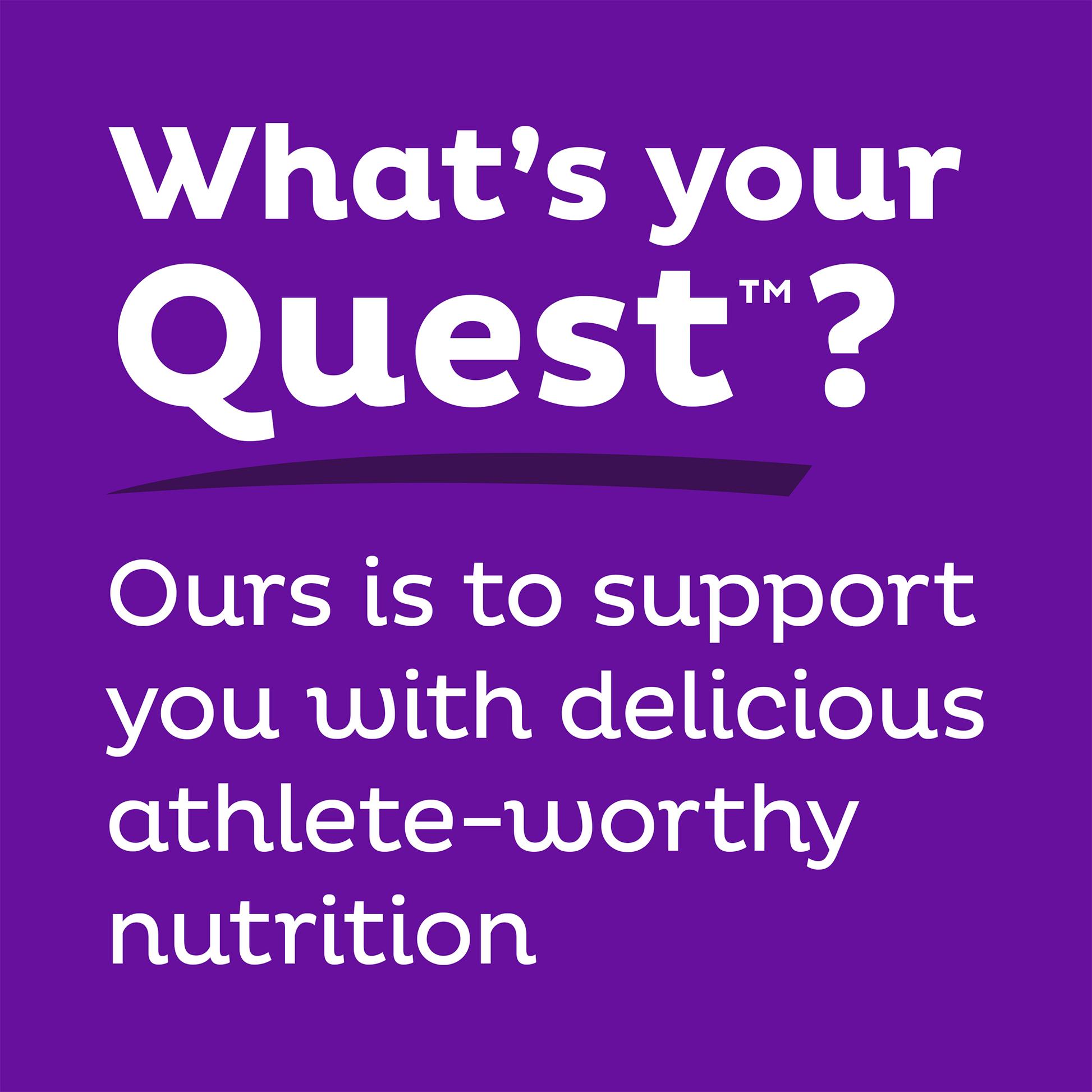 double-chocolate-chunk-protein-bars-g7 qst-000241_double-chocolate-chunk-protein-bars_9.png